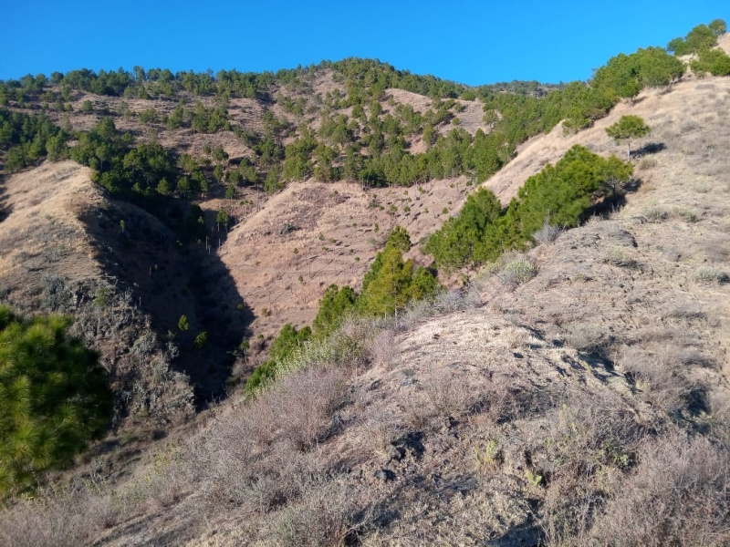  33 Bigha Agricultural/Farm Land for Sale in Rajgarh, Sirmour