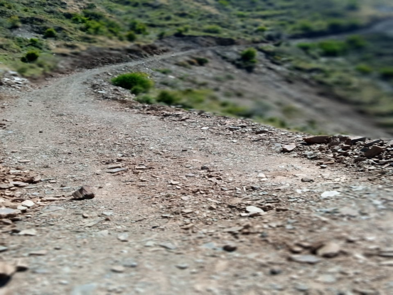  33 Bigha Agricultural/Farm Land for Sale in Rajgarh, Sirmour