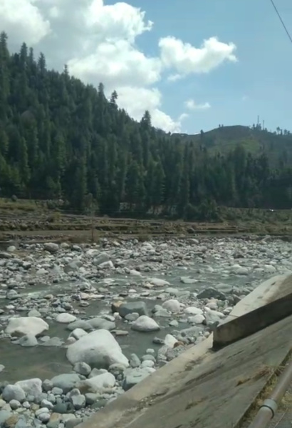  6 Biswa Agricultural/Farm Land for Sale in Kotli, Mandi