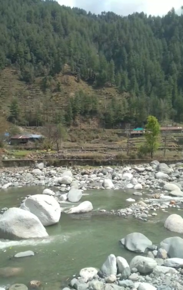  6 Biswa Agricultural/Farm Land for Sale in Kotli, Mandi