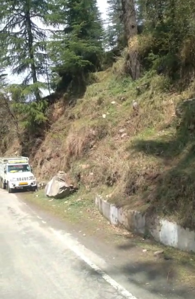  6 Biswa Agricultural/Farm Land for Sale in Kotli, Mandi