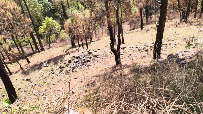  30 Biswa Agricultural/Farm Land for Sale in Sarahan, Sirmour