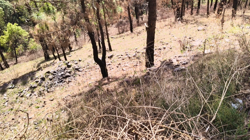  30 Biswa Agricultural/Farm Land for Sale in Sarahan, Sirmour