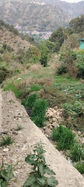  8 Biswa Residential Plot for Sale in Mall Road, Solan