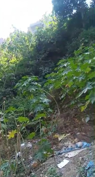  148 Sq.ft. Residential Plot for Sale in Nahan, Sirmour