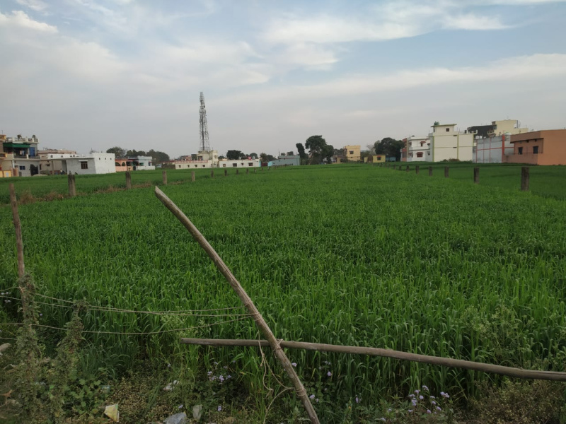 Agricultural Land 40000 Sq.ft. for Rent in Badowala, Dehradun