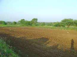  Residential Plot for Sale in Borsad, Anand