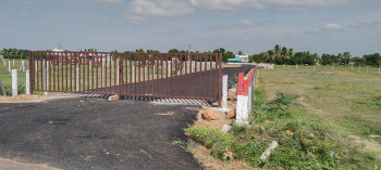  Residential Plot for Sale in Adavathur East, Tiruchirappalli