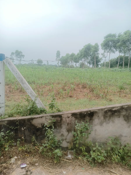 Agricultural Land 7 Bigha for Sale in Dahegam, Gandhinagar (REI1094194)