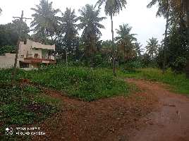  Commercial Land for Sale in Thanisandra, Bangalore