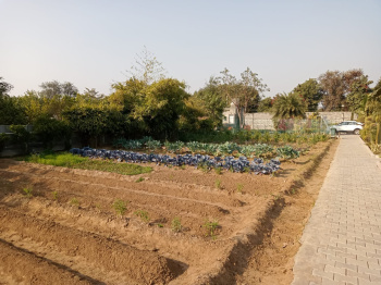  Agricultural Land for Sale in Naugaon, Uttarkashi