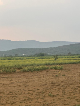  Agricultural Land for Sale in Naugaon, Alwar