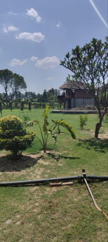  Agricultural Land for Sale in Pahari, Bharatpur