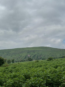 Agricultural Land for Sale in Burja, Alwar