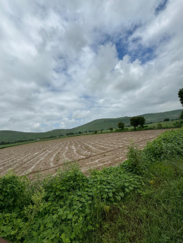  Agricultural Land for Sale in Naugaon, Alwar
