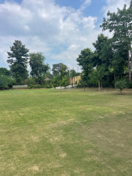  Agricultural Land for Sale in Sohna, Gurgaon