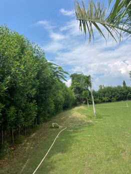  Agricultural Land for Sale in Sohna Palwal Road, Gurgaon