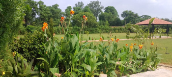  Agricultural Land for Sale in Sohna Road, Faridabad