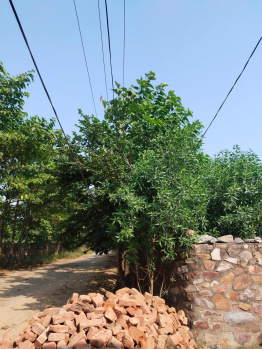  Agricultural Land for Sale in Sohna, Gurgaon