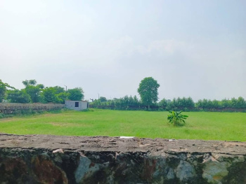  Agricultural Land for Sale in Gurgaon Rural