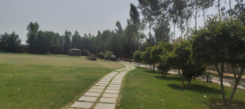  Agricultural Land for Sale in Sohna, Gurgaon