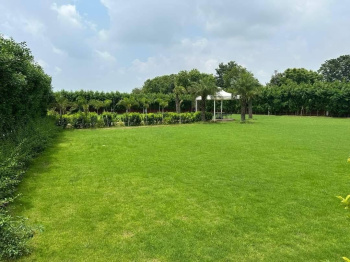  Agricultural Land for Sale in Sohna, Gurgaon