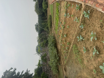 Agricultural Land for Sale in Sohna Road, Gurgaon