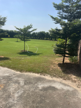 Agricultural Land for Sale in Sohna, Gurgaon