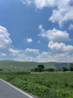  Agricultural Land for Sale in Pahari, Bharatpur