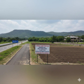  Agricultural Land for Sale in Pahari, Bharatpur