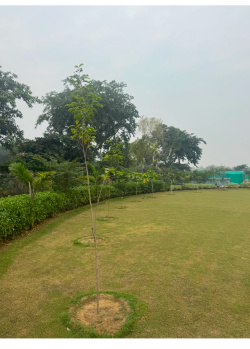 2 BHK Farm House for Sale in Sohna Road, Gurgaon