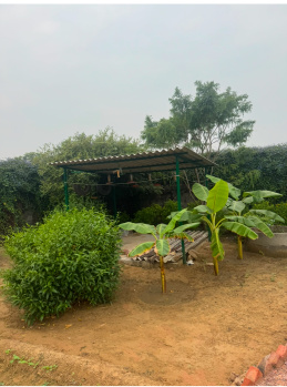 2.5 BHK Farm House for Sale in Sohna Palwal Road, Gurgaon