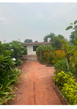  Agricultural Land for Sale in Sohna, Gurgaon