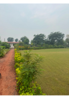 Agricultural Land for Sale in Pahari, Bharatpur