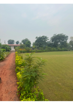  Agricultural Land for Sale in Pahari, Bharatpur