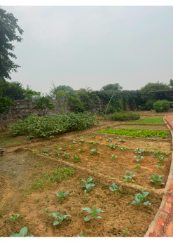  Agricultural Land for Sale in Pahari, Bharatpur