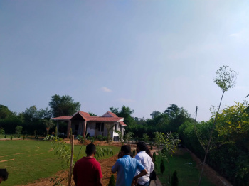  Agricultural Land for Sale in Pahari, Bharatpur