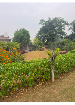  Agricultural Land for Sale in Pahari, Bharatpur