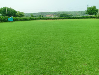  Agricultural Land for Sale in Gurgaon Rural