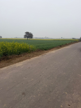  Agricultural Land for Sale in Pahari, Bharatpur
