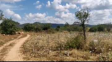  Agricultural Land for Sale in Sri Sailam Highway, Hyderabad