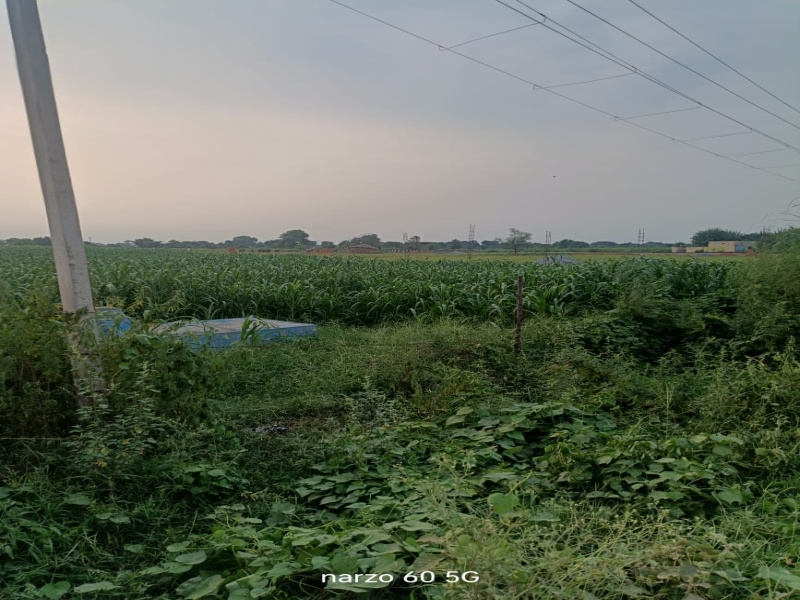  Commercial Land 200 Sq. Yards for Sale in Tappal, Aligarh