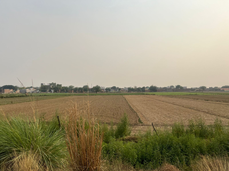  Agricultural Land 14 Bigha for Sale in Dankaur, Gautam Buddha Nagar