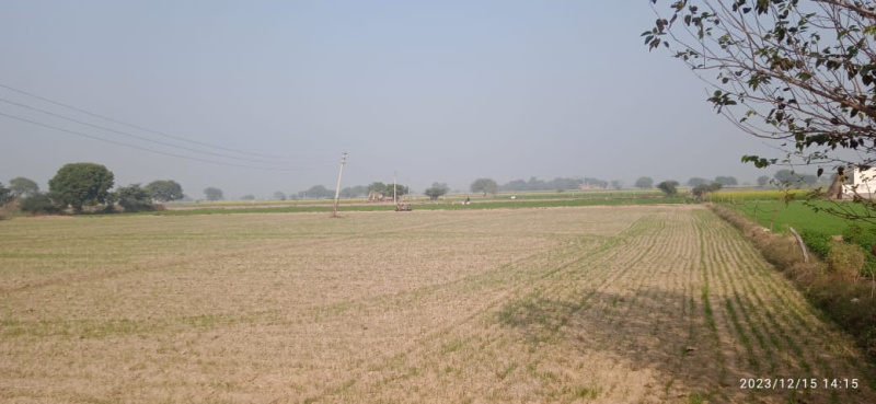  Agricultural Land 120 Bigha for Sale in Khair, Aligarh