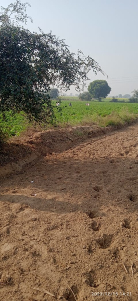  Agricultural Land 4 Bigha for Sale in Jewar, Gautam Buddha Nagar