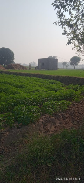  Agricultural Land 9 Bigha for Sale in Jewar, Gautam Buddha Nagar