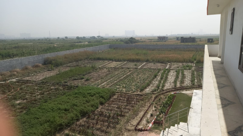  Residential Plot 6 Bigha for Sale in Jewar, Gautam Buddha Nagar