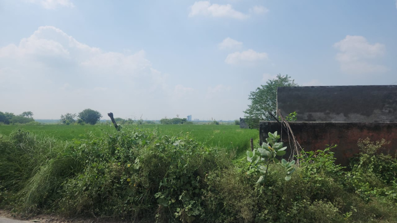  Residential Plot 9 Bigha for Sale in Khair, Aligarh