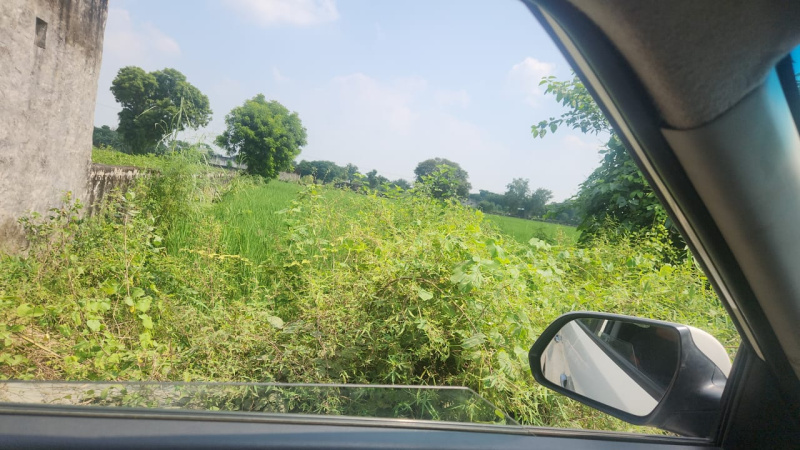  Residential Plot 9 Bigha for Sale in Khair, Aligarh