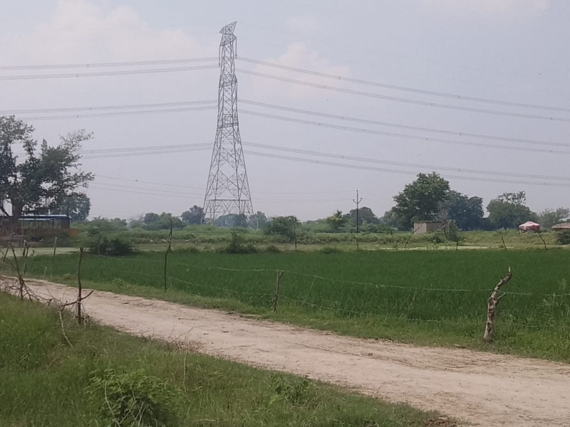  Agricultural Land 10 Bigha for Sale in Jewar, Gautam Buddha Nagar